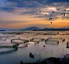 兴化伴游中国网景点丰富(旅游网介绍)