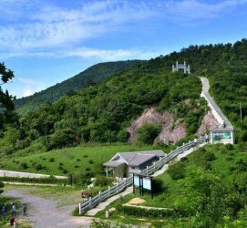 兴化休闲游(休闲旅游的含义及特点)