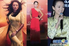兴化大胸女星(香港4大女星)