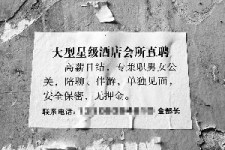 兴化珠海伴游雇用网(珠海游览社雇用信息)