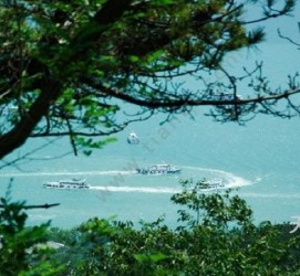 兴化中国伴游网与你分享旅游的点滴(中国伴游网与你分享旅游的点滴是什么)