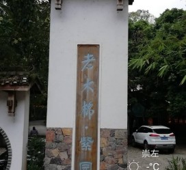 兴化关于伴游中国伴游你们伴得是什么游的信息
