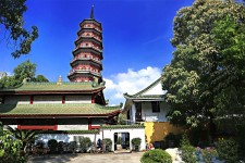 兴化广州自由行(广州 自由行)