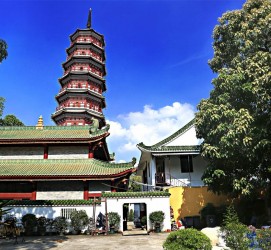 兴化广州自由行(广州 自由行)