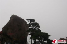 兴化上海伴游私家陪游雇用女模(上海伴游私家陪游雇用女模特)