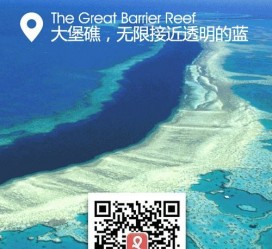 兴化中国250家旅行社结伴游新西兰(新西兰当地旅行社)