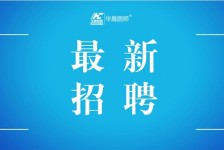 兴化镇江伴游雇用驾驶员(镇江驾驶员雇用苍生网)