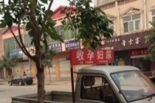 兴化上海伴游 用伴游造句大全(5