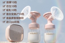 兴化奶模(奶模型)