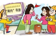 兴化伴游是什么