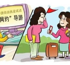 兴化伴游是什么