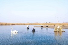 兴化南昌附近伴游小妹兼职(1534939978姐的微信德惠市)