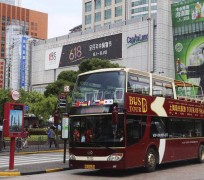 兴化上海私人伴游 上海过年怎么玩？这些“微游”线路了解下→