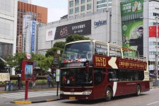兴化上海私人伴游 上海过年怎么玩？这些“微游”线路了解下→