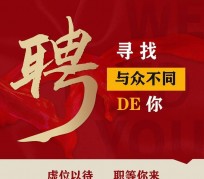兴化商务伴游招聘 重庆星级酒店诚招司机服务员夜场保安