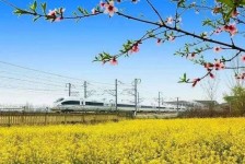 兴化高铁游(高铁游戏下载手机版)
