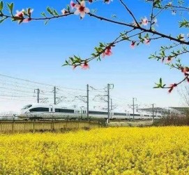 兴化高铁游(高铁游戏下载手机版)