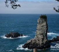 兴化旅游全攻略(上海旅游全攻略)