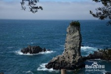 兴化旅游全攻略(上海旅游全攻略)