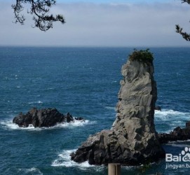兴化旅游全攻略(上海旅游全攻略)