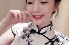 兴化伴游中国网气概(旅游伴游中国)