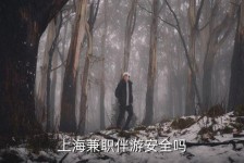 兴化上海私人伴游 上海伴游，上海兼职伴游安全吗