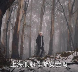 兴化上海私人伴游 上海伴游，上海兼职伴游安全吗