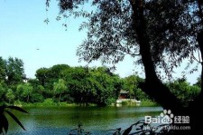 兴化西湖旅游攻略(上海到杭州西湖旅游攻略)