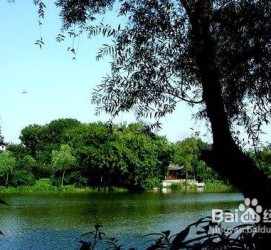 兴化西湖旅游攻略(上海到杭州西湖旅游攻略)
