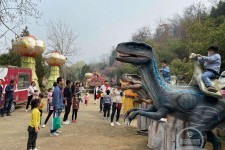 兴化中国伴游带你打卡网红南山竹海(南山竹海网上预约)