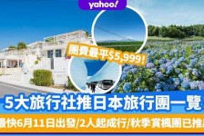 兴化旅游价格(旅游价格机制)