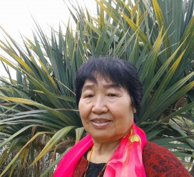 兴化白叟带老伴游半个中国(白叟外出旅游)