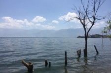 兴化洱海旅游攻略(洱海旅游攻略自由行)