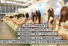 兴化雇用旅游男伴游(北京商务酒店雇用伴游)