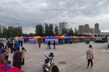 兴化通辽伴游雇用(哈尔滨伴游雇用)