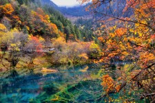 兴化四川旅游攻略(四川旅游攻略十五日游)