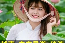 兴化日本关东伴游中国(日本关西旅行)