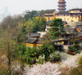 兴化南京周边游(南京周边游景点大全 自驾车旅游)