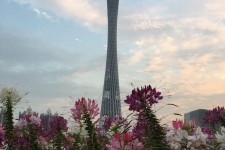 兴化广州旅游攻略(杭州到广州旅游攻略)