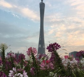 兴化广州旅游攻略(杭州到广州旅游攻略)