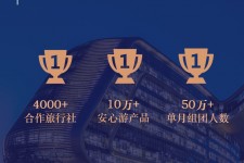 兴化上海私人伴游 ​ “小而美”的新时代：2020年国内新跟团消费报告