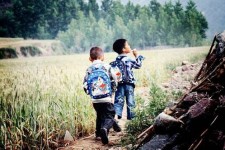 兴化河南一家四口结伴游中国2个月(河南适合一家四口旅游的地方)