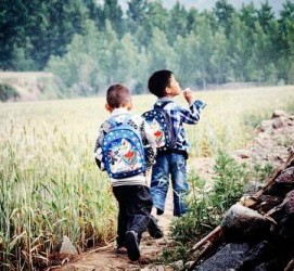 兴化河南一家四口结伴游中国2个月(河南适合一家四口旅游的地方)