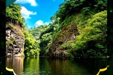 兴化旅游报价(旅行团旅游报价)