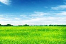 兴化上海伴游 上海模特伴游微信号的交友宣言
