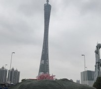 兴化广州游玩攻略(广州游玩攻略景点大全免费)