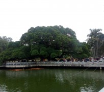 兴化福州旅游攻略(福州旅游攻略二日游)