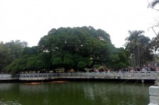 兴化福州旅游攻略(福州旅游攻略二日游)