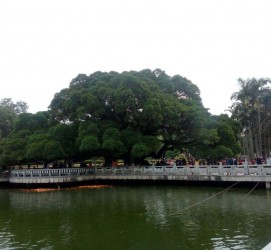兴化福州旅游攻略(福州旅游攻略二日游)