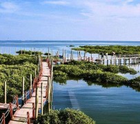 兴化旅游哪里好玩(云南旅游哪里好玩)